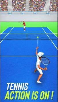 网球热3DTennis Fever 3D0