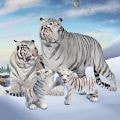 野生白虎家庭模拟Wild Tiger Simulator Family Sim最新手游app