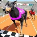 赛狗锦标赛Dog Racing Championship游戏最新版