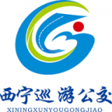 西宁巡游网约公交手机端apk下载