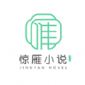 惊雁文娱小说最新客户端